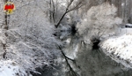 Wie gemalt spiegelten sich die verschneiten Büsche und Bäume in der Isen, die in Wörth in der Gemeinde Schwindegg bei weit unter 0°C erstarrt schien.